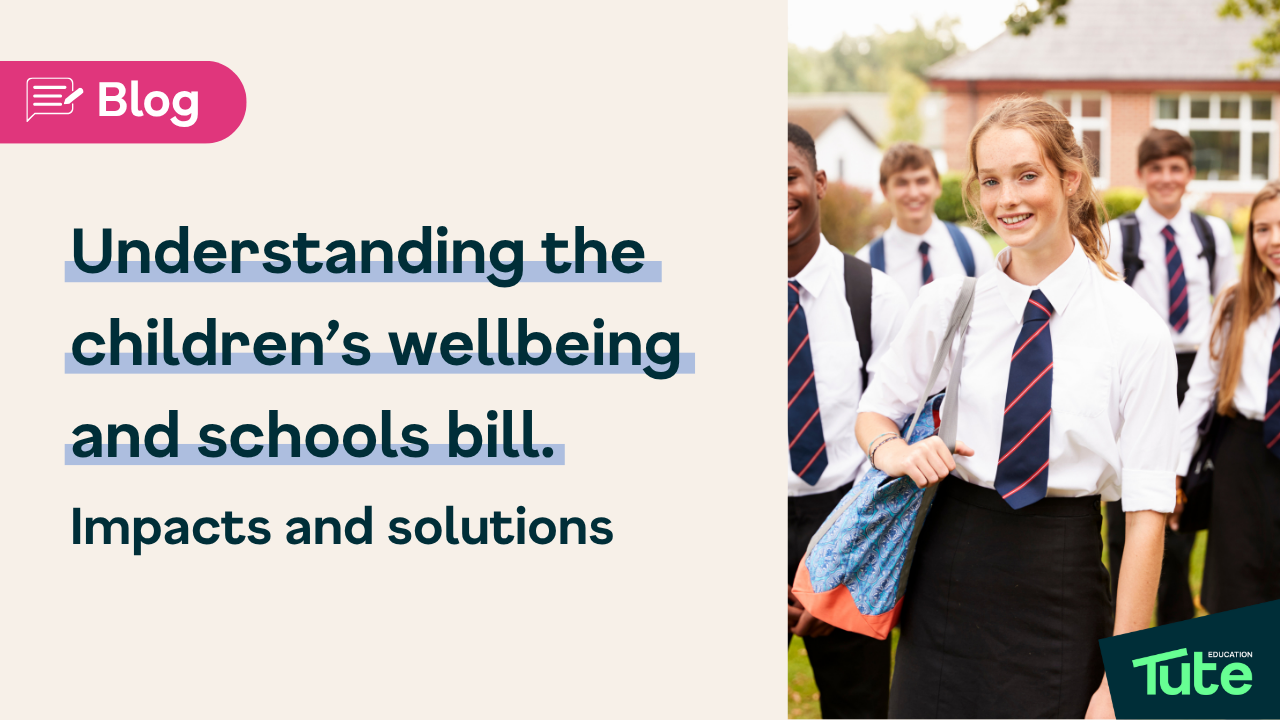 Understanding the Children's Wellbeing and Schools Bill: impacts and solutions